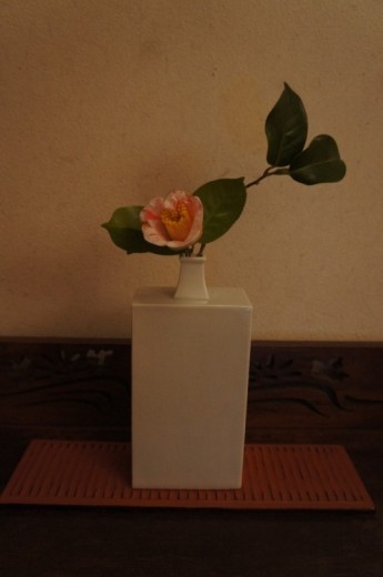 椿