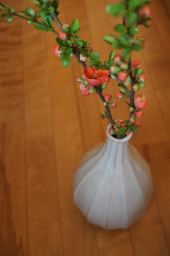 木瓜
