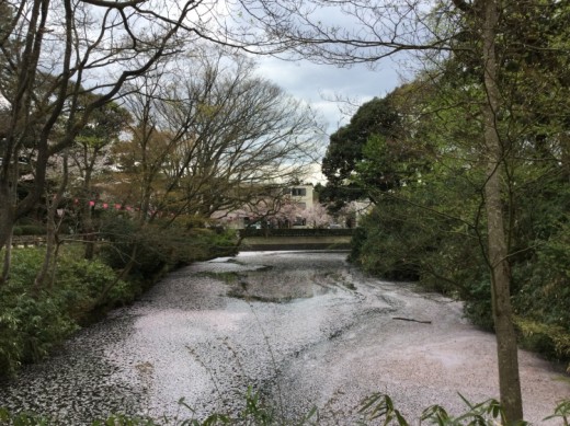 お濠(1)