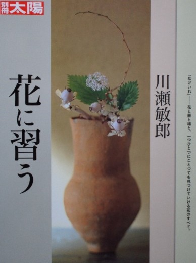 太陽