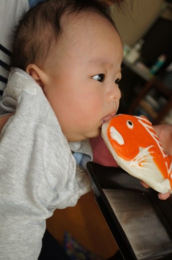 鯛