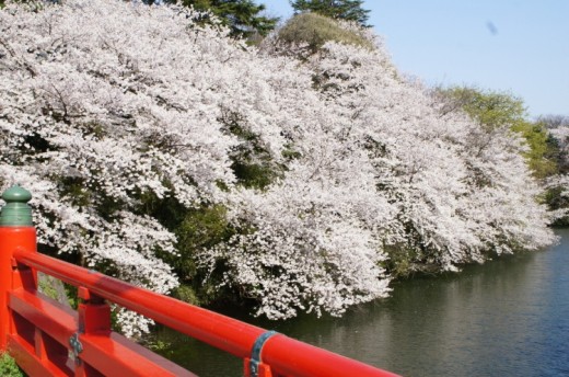 橋