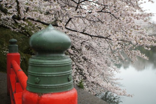 橋