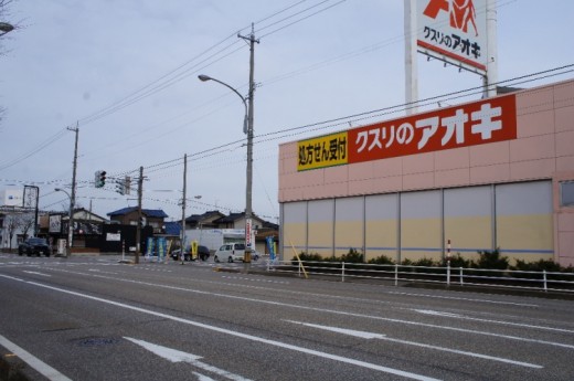 アオキ