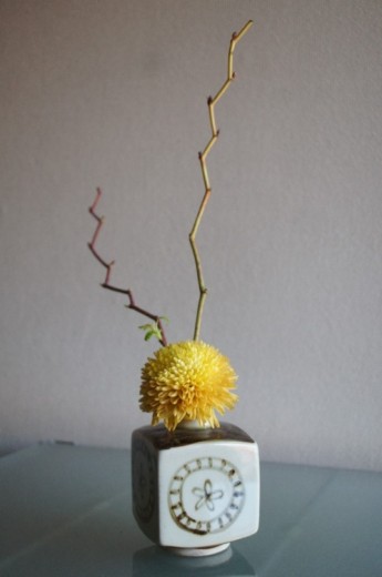 菊