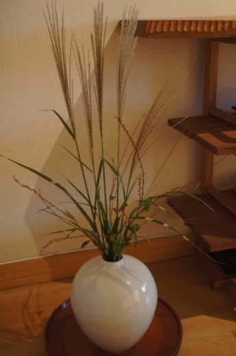 DSC00215(1)