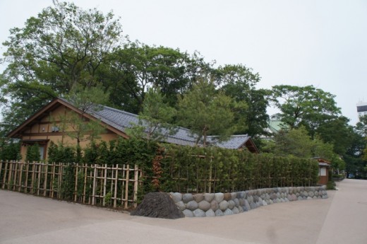 DSC01447(1)