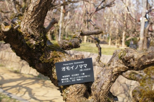 DSC02936(1)