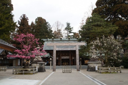 DSC03086(1)