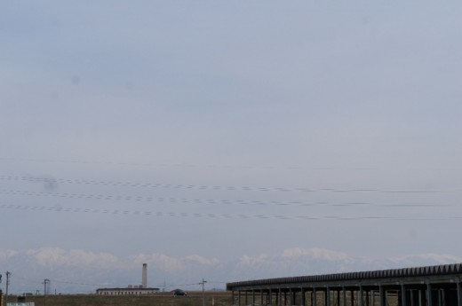 DSC07064(1)