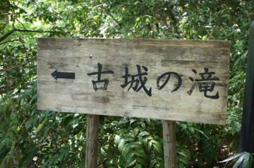 DSC08509(1)