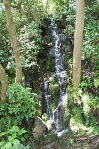 DSC08512(1)