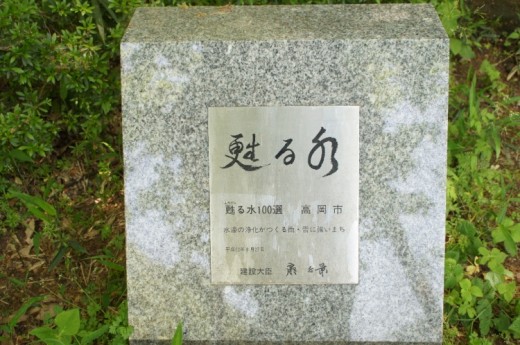 DSC08518(1)