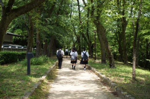 DSC08771(1)