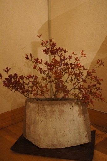 DSC09526(1)