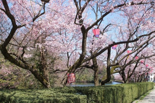 桜馬場町