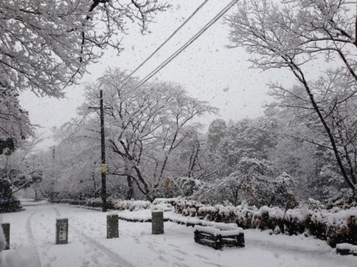 雪