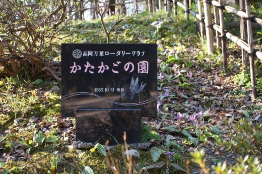 かたかご