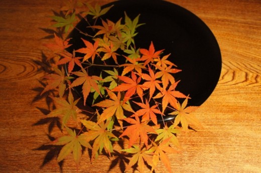 紅葉