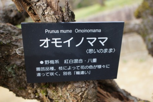 おもいのまま